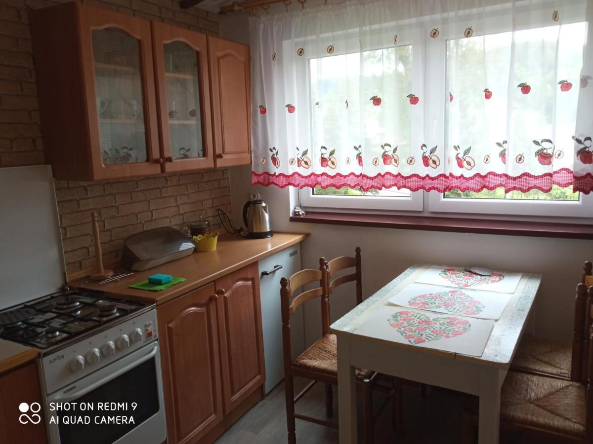 Domek I Apartamenty Stokrotka Krynica-Zdrój Exterior foto